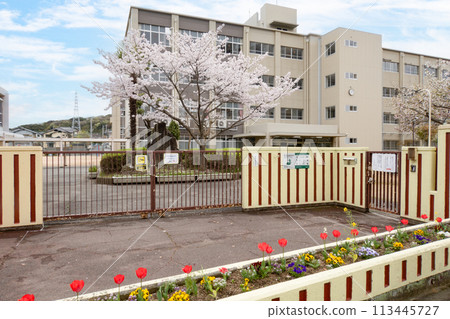 Cherry blossoms, elementary school building and blue sky Cherry blossoms, elementary school building and blue sky 113445727