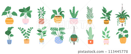 Houseplant flower pot collection. Handmade home decorations 113445778