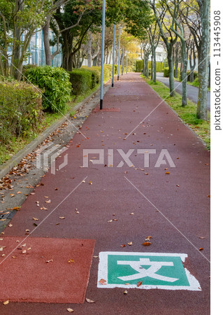 Walking paths and school routes within the housing complex Walking paths and school routes within the housing complex 113445908