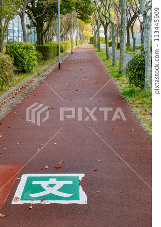 Walking paths and school routes within the housing complex Walking paths and school routes within the housing complex 113445909