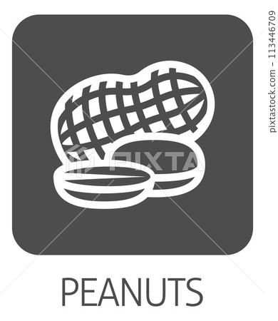Peanut Nut Food Allergy Icon Concept 113446709
