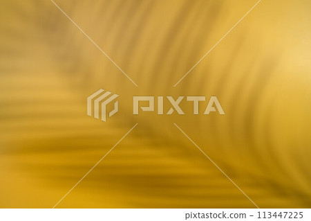 Abstract beach with paper sand palm shadow. Summer aesthetic mockup template background on a tropical beach holiday 113447225