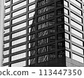 Monochrome image of a building 113447350