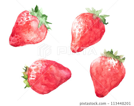 Illustration of four strawberries drawn with transparent watercolors Illustration of four strawberries drawn with transparent watercolors 113448201