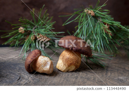 Group of Imleria Badia or Boletus badius mushrooms commonly known as the bay bolete on vintage wooden background.. Group of Imleria Badia or Boletus badius mushrooms commonly known as the bay bolete on vintage wooden background.. 113448490