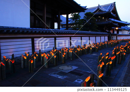 Usuki Bamboo Festival (Usuki City, Oita Prefecture) 113449125