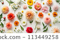 A Bunch of Flowers Arranged on a Table 113449258