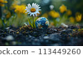 Miniature Globe Beside Vibrant Daisy in a Blossoming Spring Meadow for Earth Day 113449260