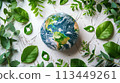 Globe Surrounded by Green Leaves on White Surface 113449261