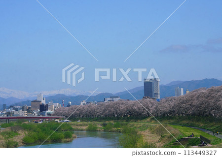 Asuwa River cherry blossom trees along the river, famous cherry blossom spot, Fukui cityscape and Mt. Hakusan 113449327