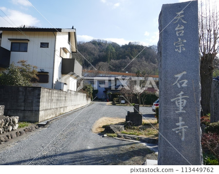 石壽寺的情侶梅(埼玉縣上川町) 石壽寺的情侶梅(埼玉縣上川町) 113449762