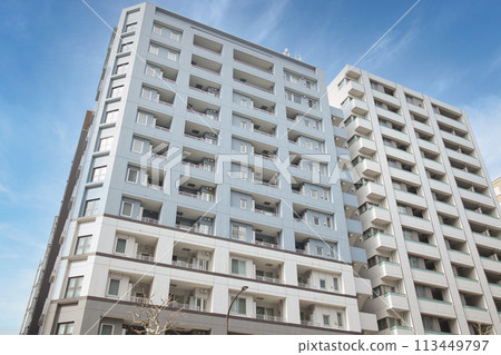 新建公寓的外觀 新建公寓的外觀 113449797