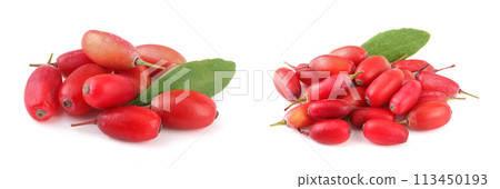 fresh barberry with leaves isolated on a white background 113450193