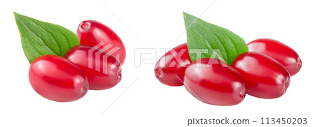 dogwood berry with leaf isolated on white background dogwood berry with leaf isolated on white background 113450203