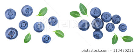 fresh ripe blueberry with leaves isolated on white background. Top view. Flat lay pattern fresh ripe blueberry with leaves isolated on white background. Top view. Flat lay pattern 113450231