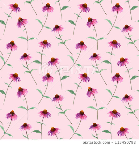 Watercolor repeat seamless pattern with herb flower Coneflower, Echinacea. Hand drawn botanical illustration for wrapping wallpaper fabric textile 113450798