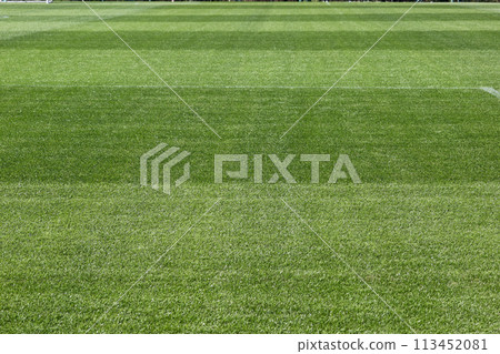 Beautiful natural grass Beautiful natural grass 113452081
