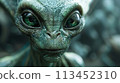 A close up of a green alien with big eyes and long hair, AI 113452310