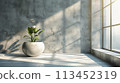 A white flower in a vase on the floor of an empty room, AI 113452319