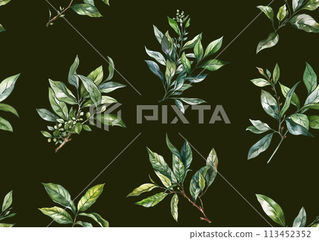Branch with leaves of green tea. Branch with leaves of green tea. 113452352