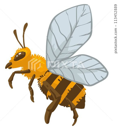 Bee insect, bumblebee wildlife and animals vector 113452889