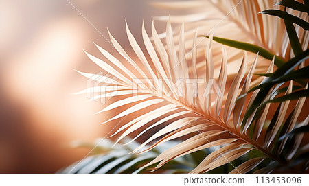 Palm Leaves on Light Cream Wall Serene Botanical Background for Summer, Generative Ai 113453096
