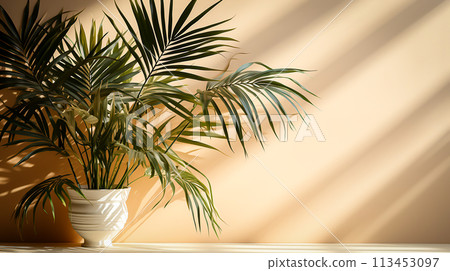 Palm Leaves on Light Cream Wall Serene Botanical Background for Summer, Generative Ai 113453097