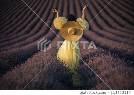 Woman lavender field sunset. Back view woman in yellow dress and hat. Aromatherapy concept, lavender oil, photo session in lavender Woman lavender field sunset. Back view woman in yellow dress and hat. Aromatherapy concept, lavender oil, photo session in lavender 113453114