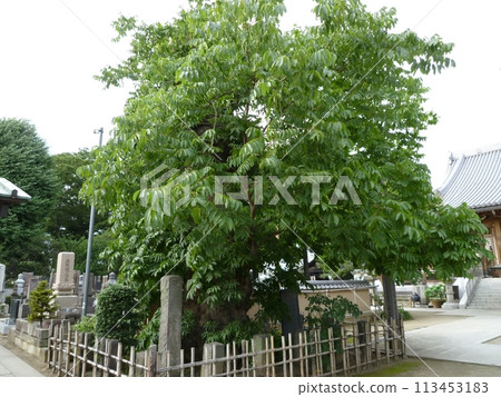 多文字寺（埼玉縣北本市） 113453183