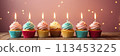 Colorful cupcakes with lit candles are displayed against a pink background, indicating an indoor celebration event marking of joy and celebrating. with free space 113453225