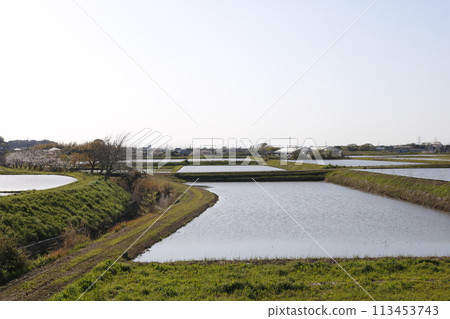 Japanese landscape Japanese landscape 113453743