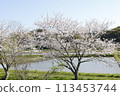 Japanese landscape 113453744