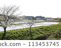 Japanese landscape 113453745