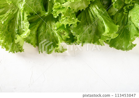 Fresh home-grown green lettuce salad leaves on white background. View from above. Home-grown organic product. 113453847
