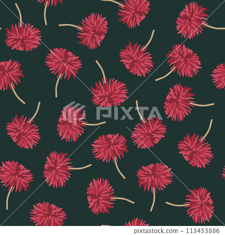Vector isolated illustration of pattern with dahlias. Floral pattern for printing. Vector isolated illustration of pattern with dahlias. Floral pattern for printing. 113453886