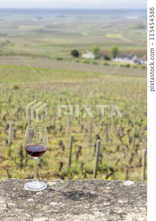 Glass of pinot noir red wine in early spring vineyards near Aloxe-Corton, Burgundy, France 113454386