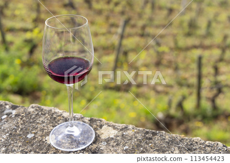 Glass of pinot noir red wine in early spring vineyards near Aloxe-Corton, Burgundy, France Glass of pinot noir red wine in early spring vineyards near Aloxe-Corton, Burgundy, France 113454423