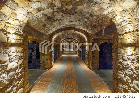Stored wine bottles, wine cella, Canale, Piedmont, Italy 113454532