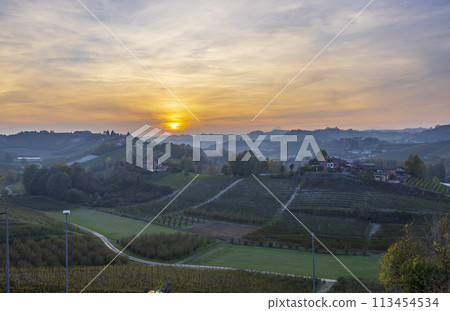 Typical vineyard near Canale, Barolo wine region, province of Cuneo, region of Piedmont, Italy 113454534