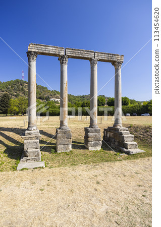 ruins of Roman temple in Riez, Alpes-de-Haute-Provence , France 113454620