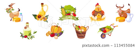 Farm Natural Product and Organic Produce Object Vector Set 113455084