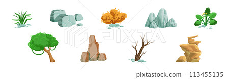 Forest Element and Outdoor Environment Object Vector Set 113455135