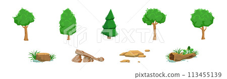 Forest Element and Outdoor Environment Object Vector Set Forest Element and Outdoor Environment Object Vector Set 113455139