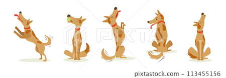 Funny Dog Domestic Pet and Animal in Different Pose Vector Set 113455156