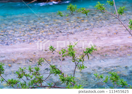 [Mountain stream material] Clear stream of Azusa River in Kamikochi in early summer [Nagano Prefecture] 113455625