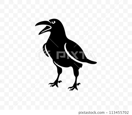 Black raven stands on the ground, graphic design. Crow, bird, animal, nature and wildlife, vector design and illustration Black raven stands on the ground, graphic design. Crow, bird, animal, nature and wildlife, vector design and illustration 113455702