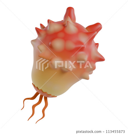 Sea squirt 3D illustration 113455873