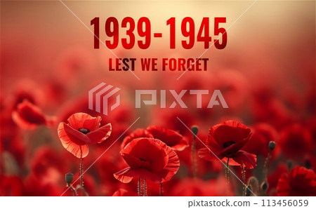 Vibrant field of red poppies with quote for Remembrance Day. Lest we forget. 113456059