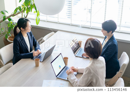 Business woman to meet 113456146