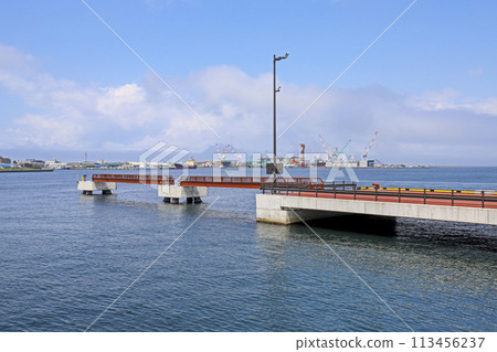 Hakodate Port Wakamatsu Pier, which can accommodate large cruise ships 113456237